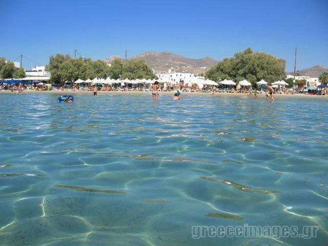 Naxos Edem Studios & Apartments Naxos City المظهر الخارجي الصورة